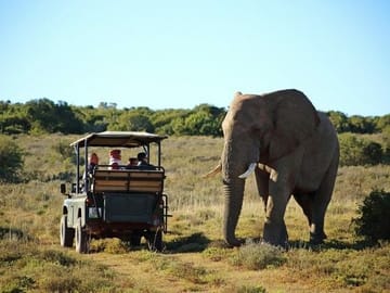 8-Day Private Safari Tour in Kampala, Mbarara, and Mubende