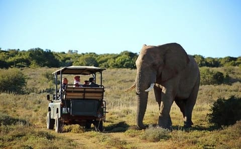 8-Day Private Safari Tour in Kampala, Mbarara, and Mubende
