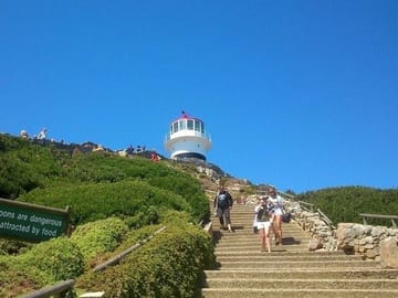 Table Mountain, Boulders Beach Penguins & Cape Point