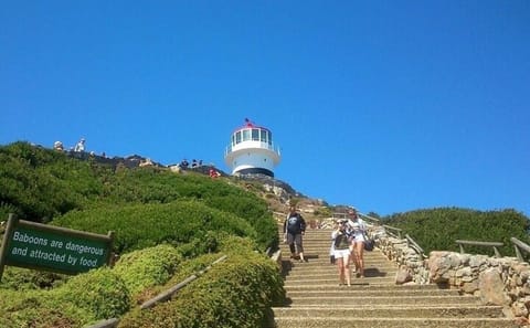 Table Mountain, Boulders Beach Penguins & Cape Point