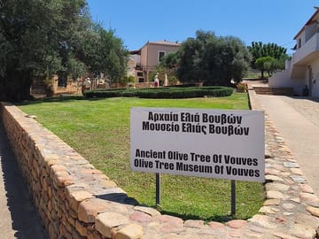 Chania Old Town and Olive Oil Experience Tour