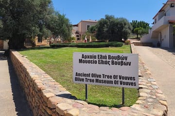 Chania Old Town and Olive Oil Experience Tour