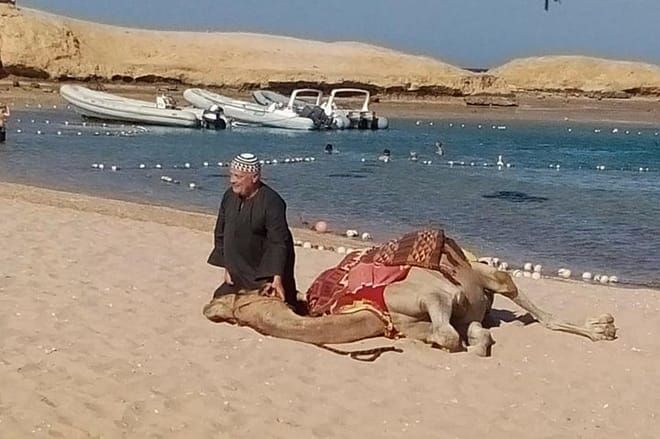 Sharm El Naga Day Snorkeling Trip &amp; Lunch By Car - Hurghada