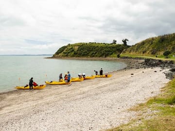 Kayaking and Culinary Tour in Clevedon, New Zealand