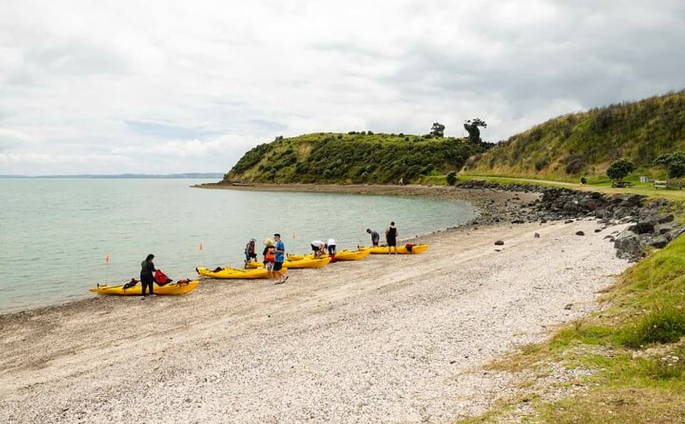 Kayaking and Culinary Tour in Clevedon, New Zealand