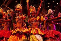 Birthday Dinner Surprise & Cat Dance at Safari Park Hotel 5