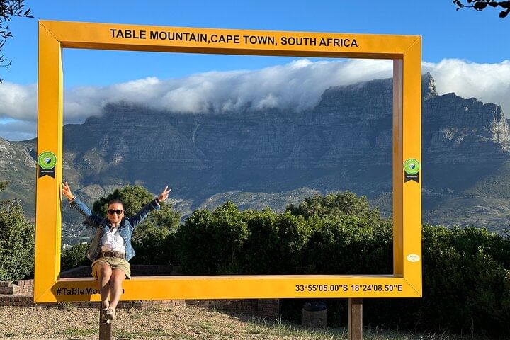 Table Mountain Penguins & Cape Point Day Tour from Cape Town