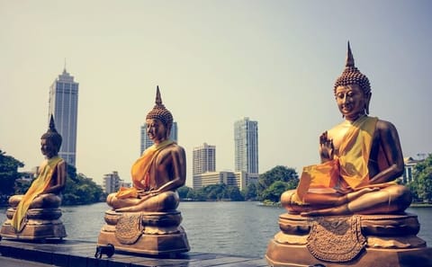 Four-Night Bus Tour of Sigiriya, Kandy, and Colombo