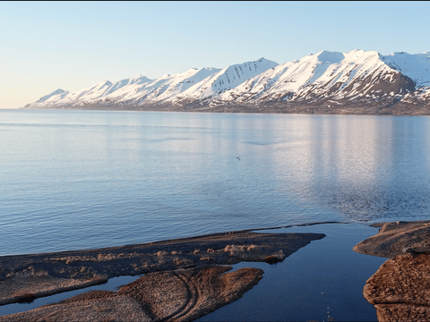 Fjord