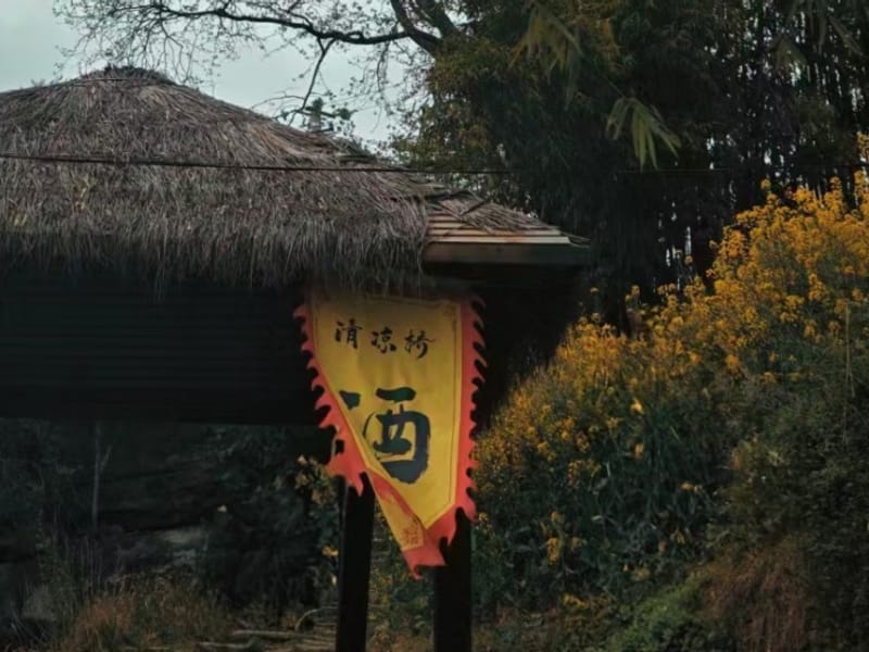 Jianmen Pass Ancient Shu Road 2-Day Private Trek from Xi'an