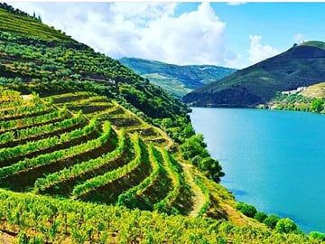 Douro Valley Wineries