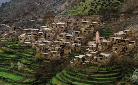 Full-Day Ourika Valley Tour from Marrakech