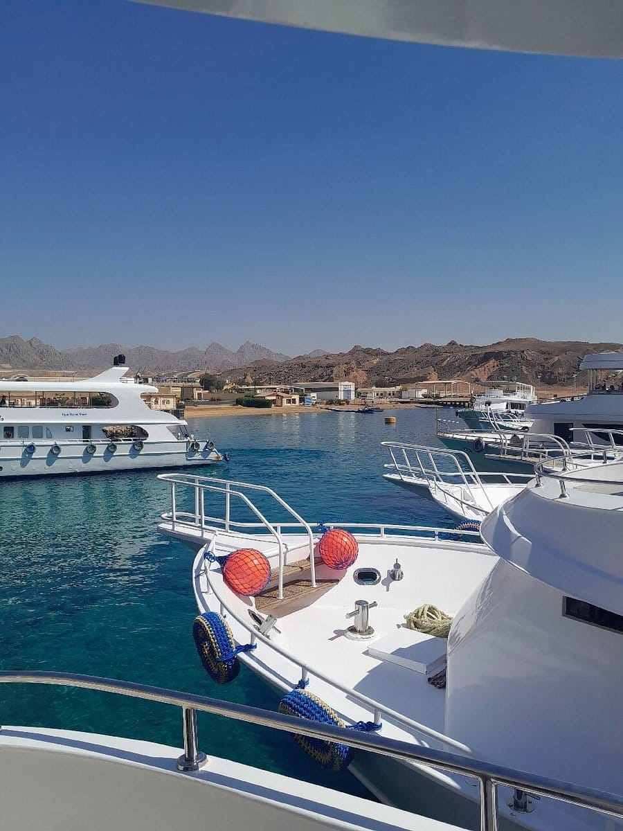 sharm el sheikh safari trip