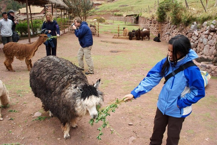 6-Days Exploring Cusco, Sacred Valley & Machu Picchu 5