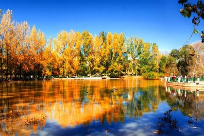 Fes to Middle Atlas Private Day Trip