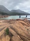 Tasmania's East Coast Explorer Day Tour (~ 9 hours) 4