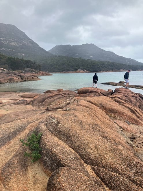 Tasmania's East Coast Explorer Day Tour (~ 9 hours) photo 4