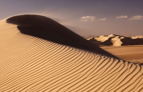 Private SIWA OASIS 4 Days Safari