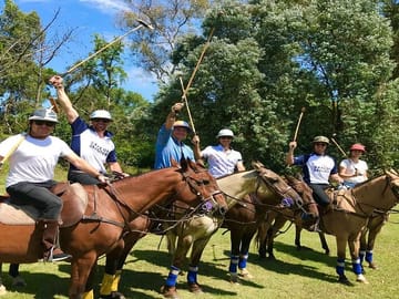 Polo Lesson and Argentine Barbecue Experience in Buenos Aires