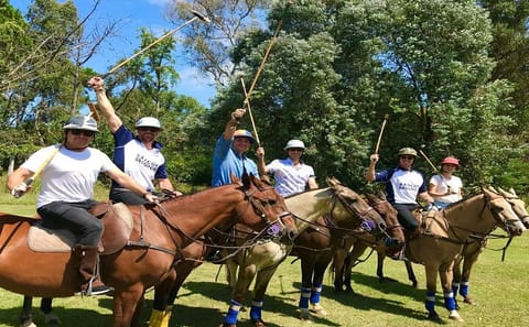 Polo Lesson and Argentine Barbecue Experience in Buenos Aires