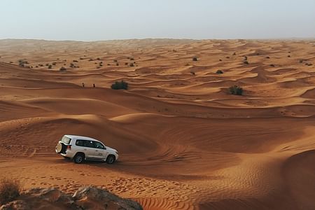 Dubai: Desert Safari with BBQ Dinner & Quad Biking Options