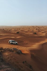 Dubai: Desert Safari with BBQ Dinner & Quad Biking Options