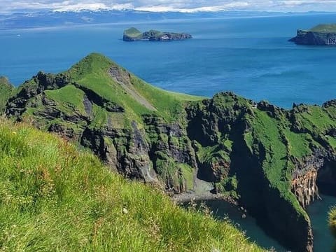 Vestmannaeyjar Westman Islands Private Tour, photo 5