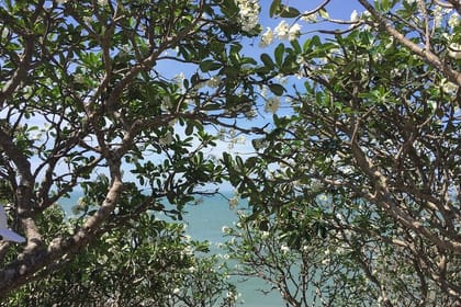 Vung Tau City Tour from Phu My Port with Local Lunch