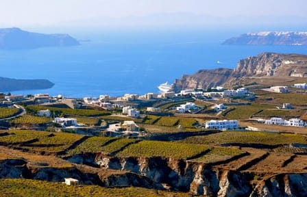 Greece Wine Roads Tour: Athens and Santorini Experience