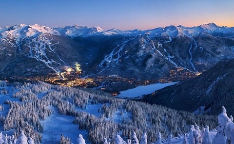 Vancouver City Tour with One-Way Scenic Flight to Whistler
