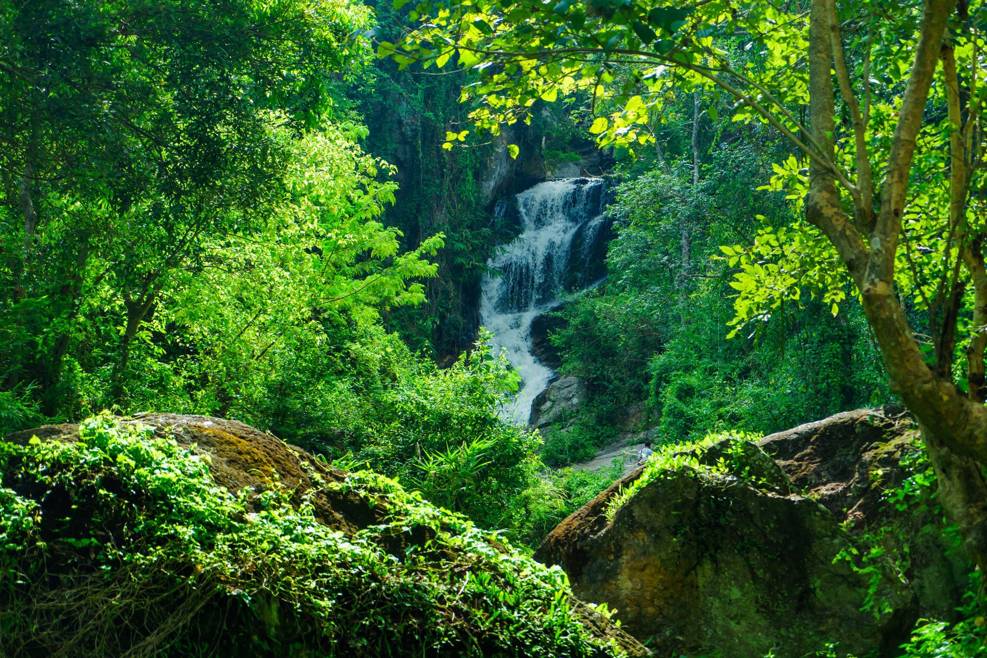 Chiang Mai Essentials