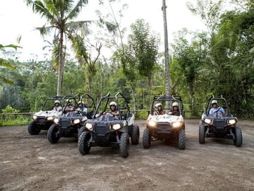 Jungle Buggy Adventure