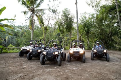 Jungle Buggy Adventure and Ubud Tour