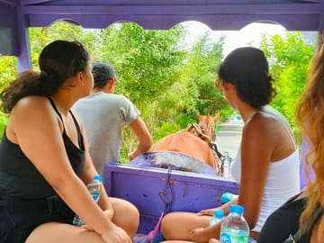 Mekong Delta Tour Daily