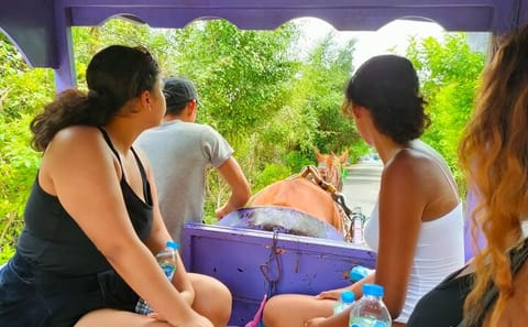 Mekong Delta Day Tour from Ho Chi Minh City
