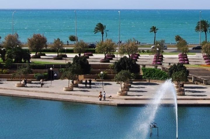 Palma de Mallorca Guided Tour with Hotel Pick up 7