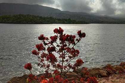 Pune to Goa: The Western Ghats Wildlife & Beaches Tour