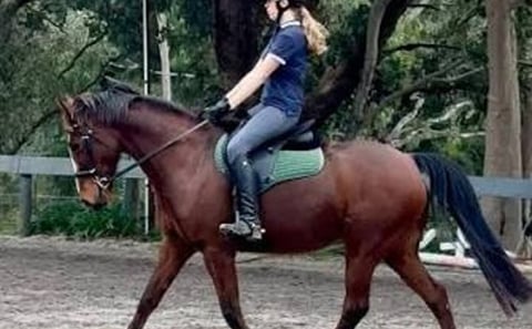 Private Horse Riding Activity in Port City, Sri Lanka