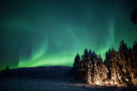 Aurora Dinner (3 Hours) 5