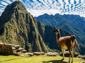 Wonderful Peruvian South, Private Tour