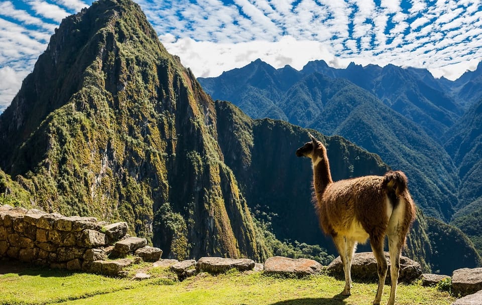 Wonderful Peruvian South, Private Tour