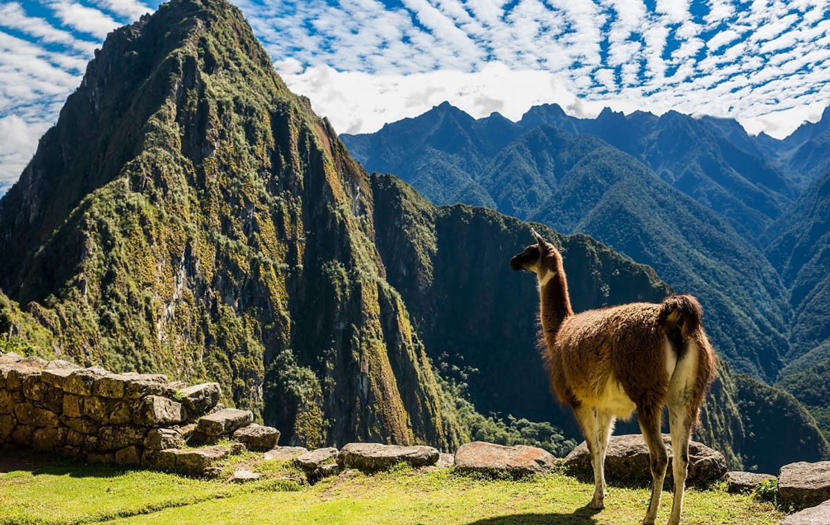 Wonderful Peruvian South, Private Tour