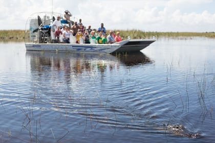 Everglades Admission Ticket with Airboat Ride and Wildlife Show