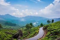 Day Tour in Alleppey and Cochin with Backwater Cruise and Beach 6