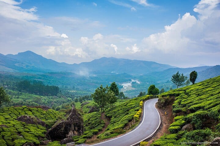 Day Tour in Alleppey and Cochin with Backwater Cruise and Beach 6