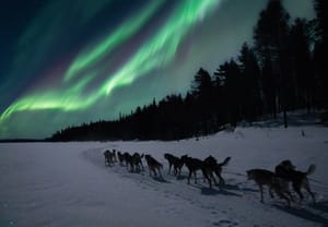 Hunting Northern Lights with Husky