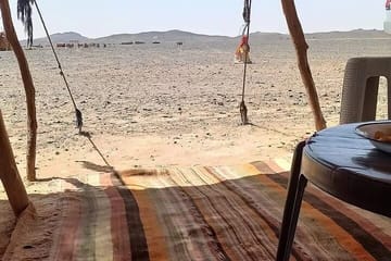 Private Day Trip from Erfoud to Merzouga Desert with Lunch