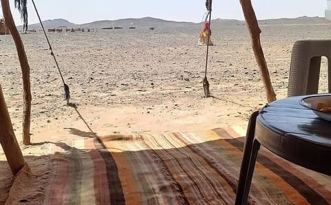 Private Day Trip from Erfoud to Merzouga Desert with Lunch