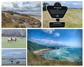 Oregon Coast Day Trip to Cannon Beach and Haystack Rock from Portland 10