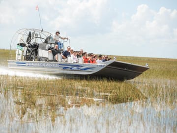 Full-Day Miami Tour: Cruise, Everglades Airboat & Bus Adventure